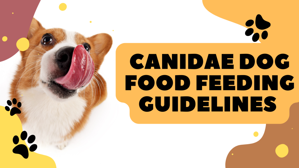 Canidae Dog Food Feeding Guidelines